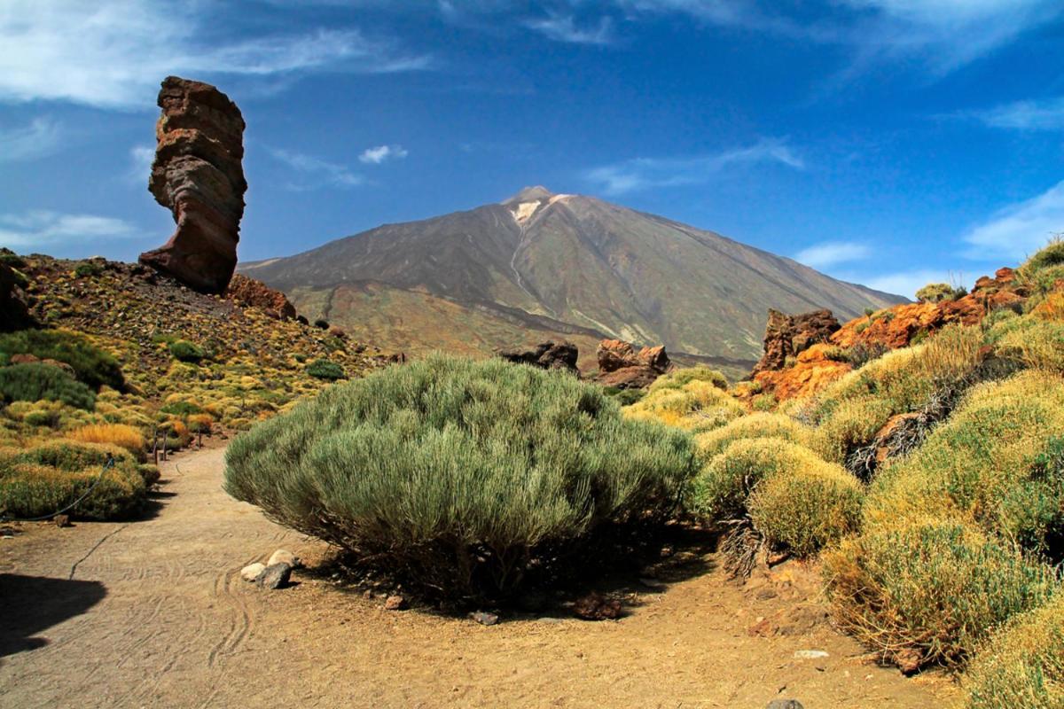 Sweet Home Los Cristianos Arona  Dış mekan fotoğraf